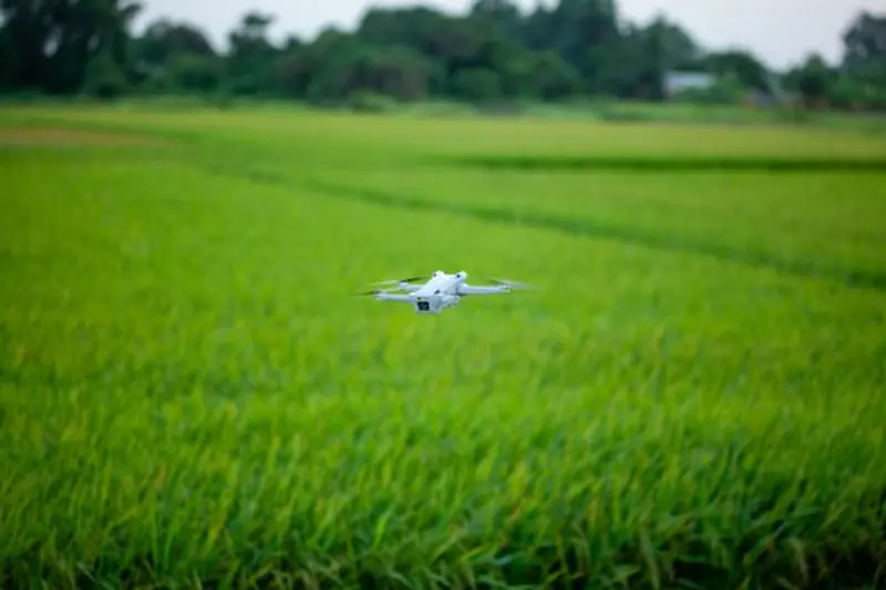 Foto stok gratis agrikultura, agronomi, alam