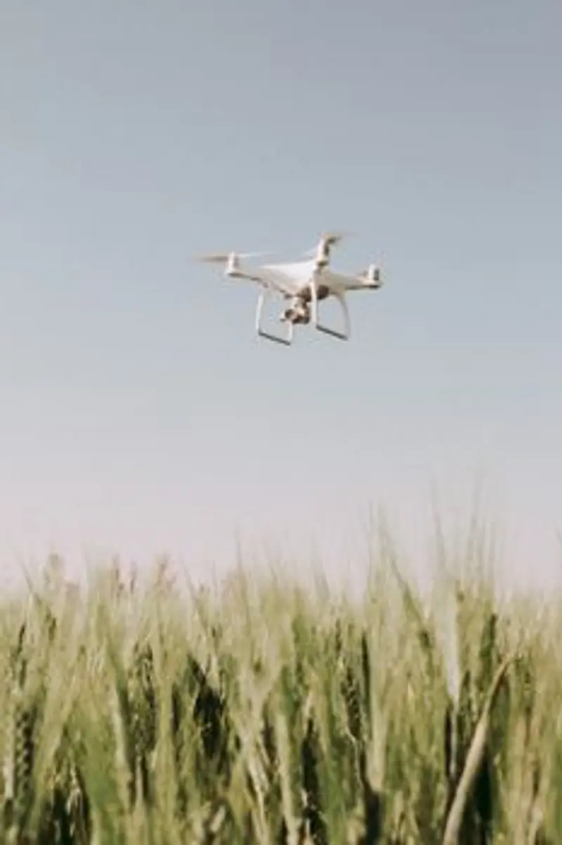 Drone Putih Terbang Di Atas Ladang Tanaman