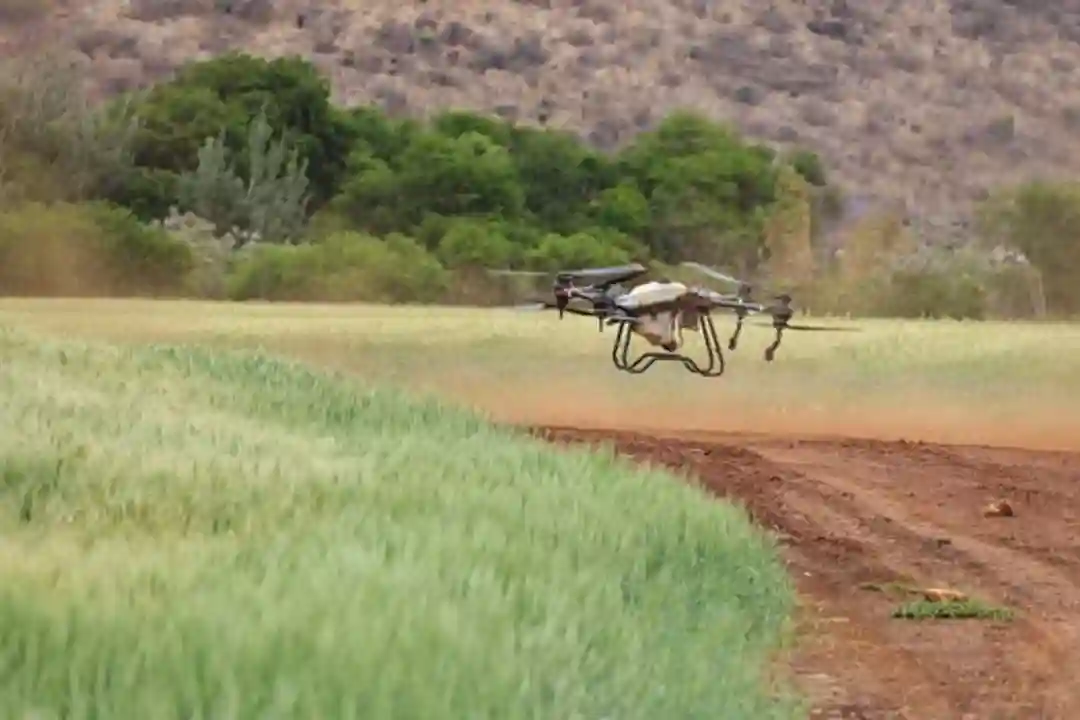 Drone terbang di atas lahan tanaman hijau subur, menampilkan teknologi pertanian modern.