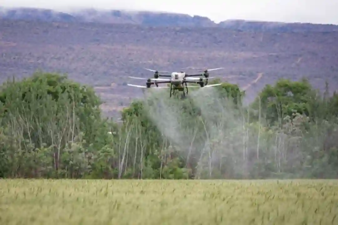 Drone pertanian menyemprot tanaman di lahan hijau subur dengan pegunungan di latar belakang.