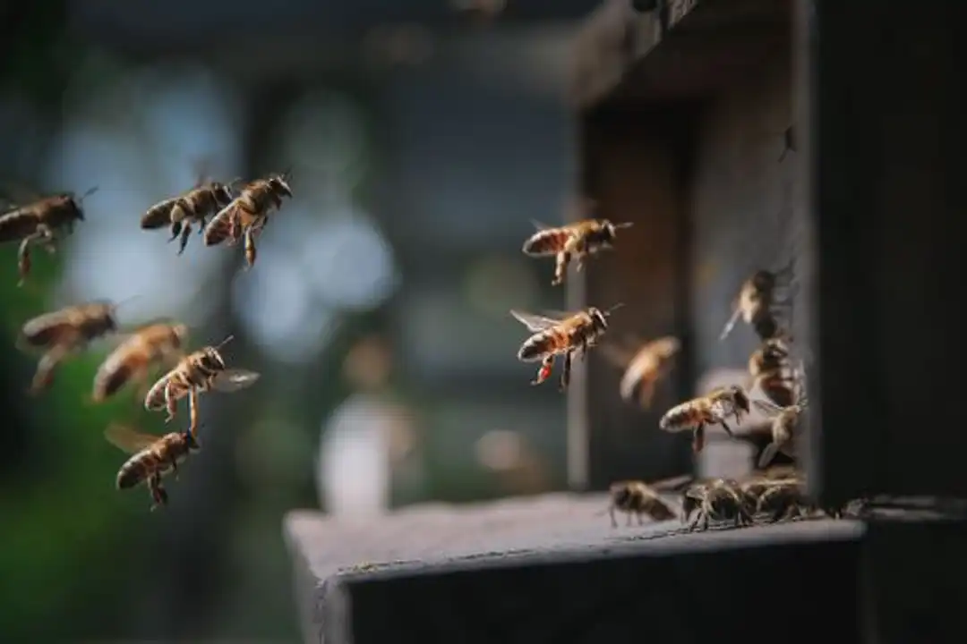 Pertunjukan drone dengan formasi astronot di atas cakrawala kota, menunjukkan inovasi dalam pelatihan drone swarm.