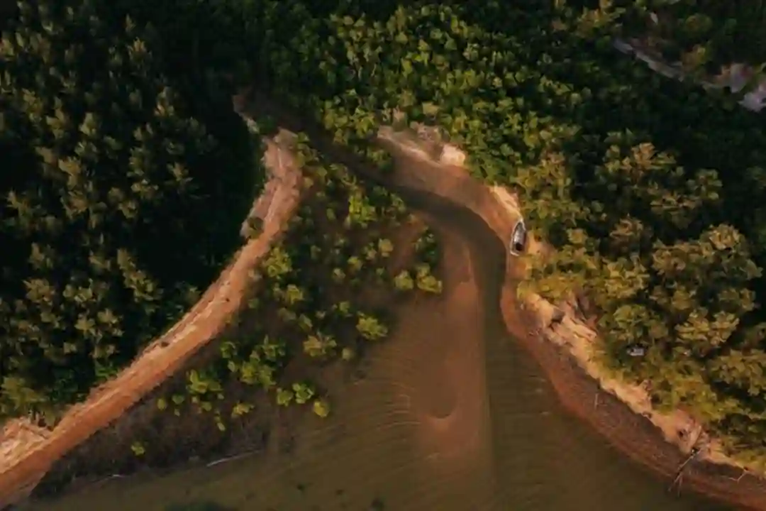 Pemandangan hutan lebat dan tepi sungai dari udara di Chukai, Malaysia.