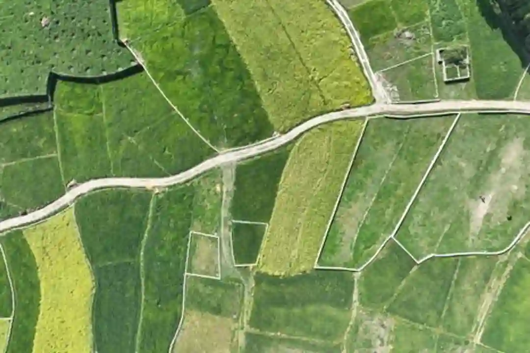 Pemandangan drone dari atas lahan pertanian hijau subur di Srinagar, India.